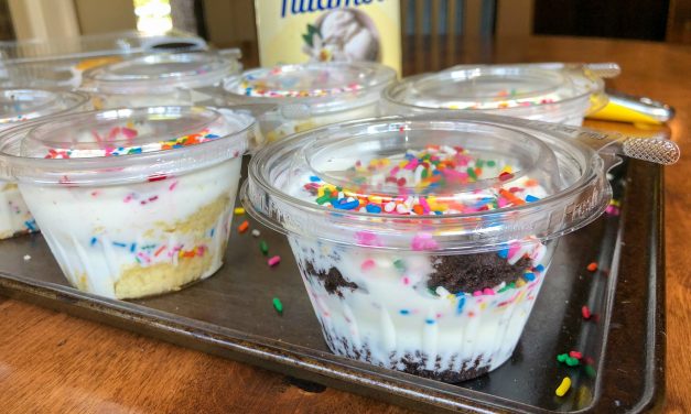 Save $1.50 On Any Tillamook Ice Cream At Publix – Enjoy The Rich, Creamy Taste That You Love & Save Big!