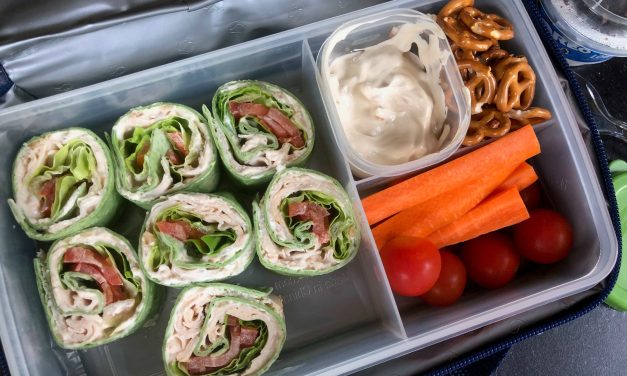 Try Some Creamy Onion Dip On Your Favorite Sandwich & Save On Hellmann’s Mayonnaise At Publix