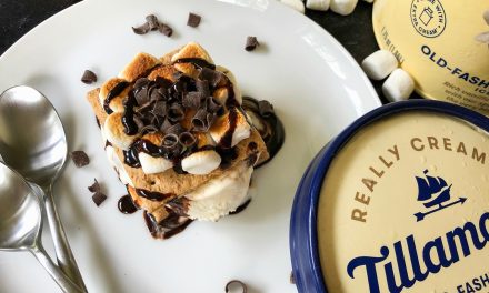 Tillamook S’mores Sundae Stack – Save On Delicious Ice Cream At Publix