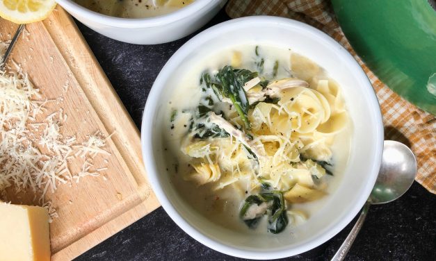 Serve Up This Chicken Spinach and Artichoke Noodle Soup Bowl & Save On No Yolks At Publix!