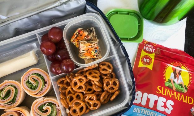 Clip The $2 Digital Coupon And Save On Sun-Maid Bites At Publix ($1 Per Bag!)