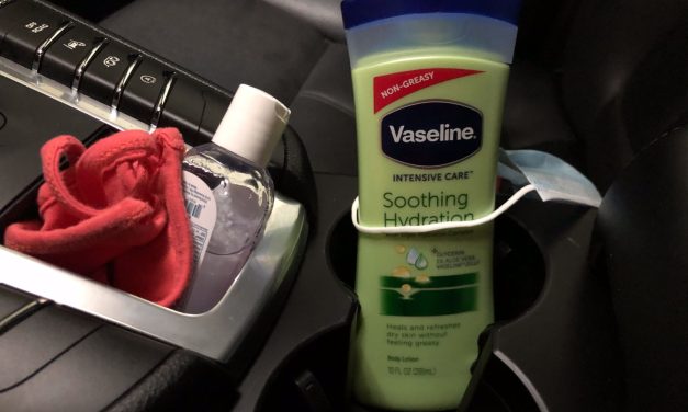 Save On Dove, Degree, Simple, St. Ives And Vaseline Products At Publix Through 10/9 At Publix