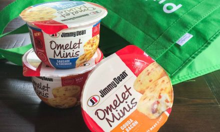 Look For New Jimmy Dean® Omelet Minis At Publix – Save Now!
