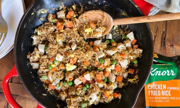 Still Time Save On Your Favorite Knorr Products At Publix – Grab A Deal For My Knorr 5 Minute Chicken Fried Rice