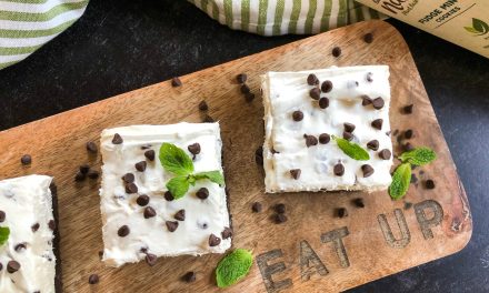 Try My Mint Chocolate Chip Cheesecake Squares & Get Savings On Back To Nature™ Snacks At Publix