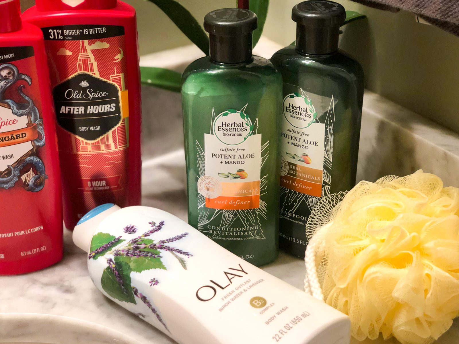 Buy $15 Worth of Participating P&G Products And Get A $5 Publix Gift Card Instantly!