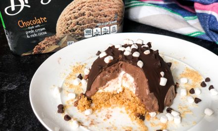 S’mores Ice Cream Bombe – Fancy Presentation But Easy Preparation! Grab Your Breyers Ice Cream While It’s BOGO At Publix