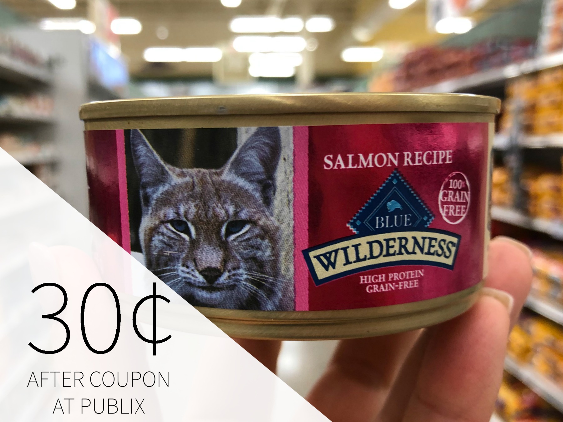 publix refrigerated dog food