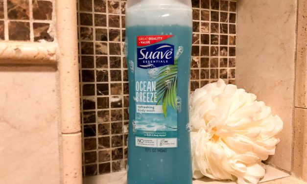 Get All You Need For The Season At Publix – Fantastic Deals On Your Favorite Unilever Personal Care Products