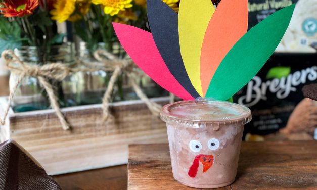 Fun & Festive Thanksgiving Treats – Breyers Turkey & Pilgrim Ice Cream Cups