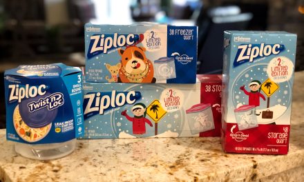 Spread Holiday Cheer With Ziploc® Brand Bags And Containers – Save At Publix