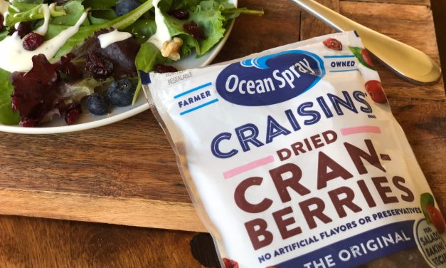 Ocean Spray Craisins Dried Cranberries As Low As $2 At Publix