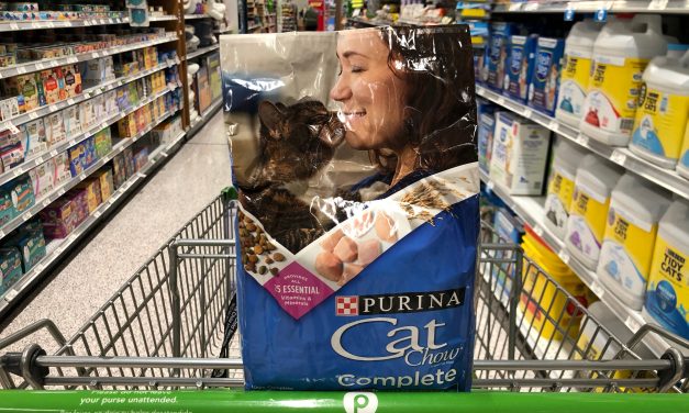 Purina Cat Chow As Low As $1.31 Per Bag At Publix With The BOGO Sale And Cash Back Offer
