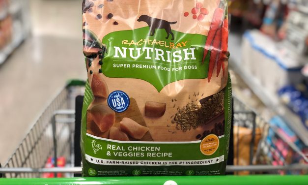 Rachael Ray Nutrish Food For Dogs Just $4.42 At Publix