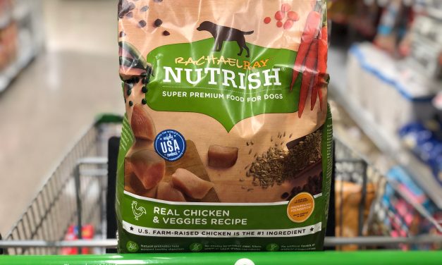 Rachael Ray Nutrish Food For Dogs As Low As $2.86 At Publix