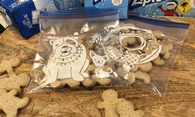 Look For Fun & Festive  Ziploc® Brand Bags At Publix – Available For A Limited Time!