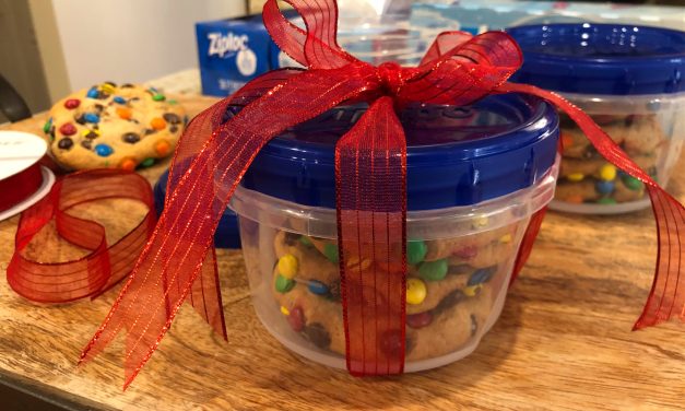 Ziploc® Brand Bags & Containers Make Gift Giving Easy – Limited Edition Designs Available At Publix