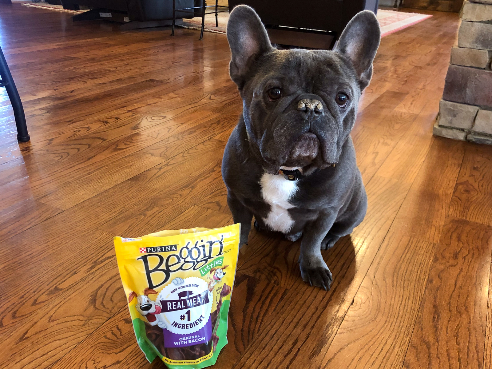 Purina Beggin’ Littles Dog Snack Just 65¢ Per Bag At Publix