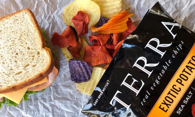 Delicious Terra Chips Are On Sale Now At Publix – Give Your Backyard BBQ More Flavor!
