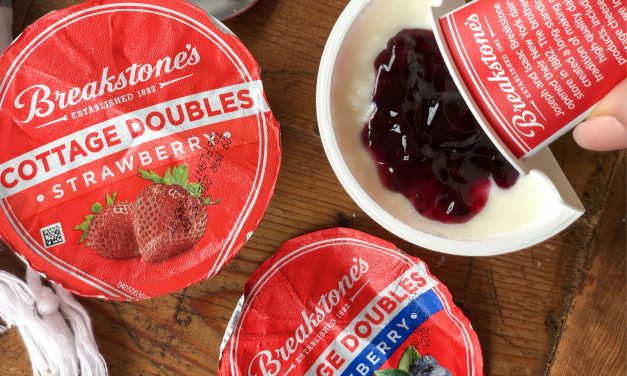 Your Favorite  Breakstone’s Cottage Doubles Are On Sale 5/$5 At Publix – A Healthy & Delectable Treat At A Great Price