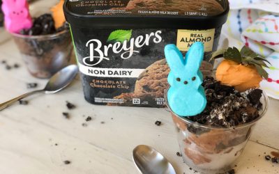 Clip Your Breyers Coupon And Serve Up My Carrot Patch Sundae Cups