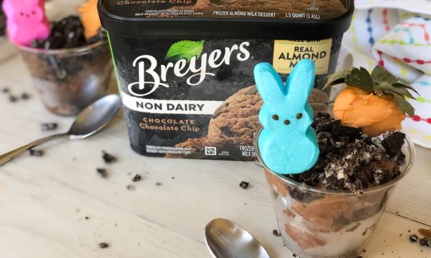 Clip Your Breyers Coupon And Serve Up My Carrot Patch Sundae Cups