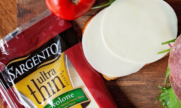 Sargento Cheese Slices Just $2.25 Per Pack At Publix