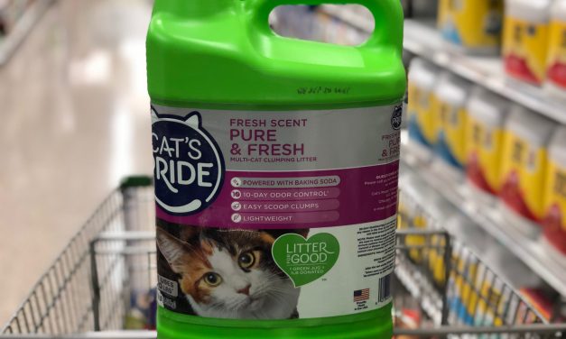 Cat’s Pride Cat Litter As Low As $3.75 At Publix
