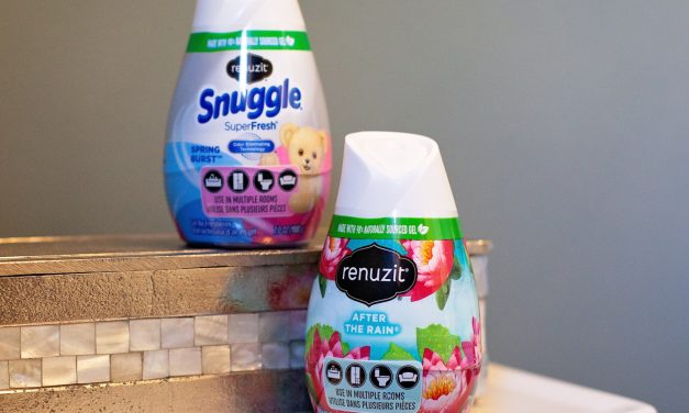 Renuzit Gel Air Fresheners Only 67¢ Each At Publix