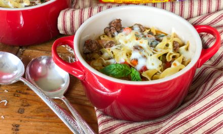 Try This Meaty Lasagna Noodle Soup – Easy Weeknight Recipe Idea…No Oven Required!