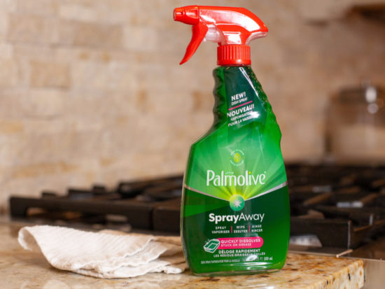 New Palmolive SprayAway Dish Spray Coupon For Publix Sale on I Heart Publix 1