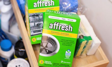 Affresh Dishwasher Cleaner As Low As $2.25 At Publix (Regular Price $8.49)