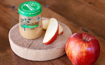 Beech-Nut Organic Baby Food Jars As Low As 55¢ At Publix