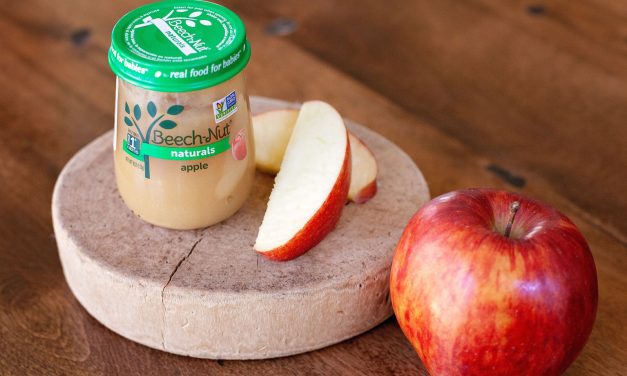 Beech-Nut Organic Baby Food Jars As Low As 55¢ At Publix