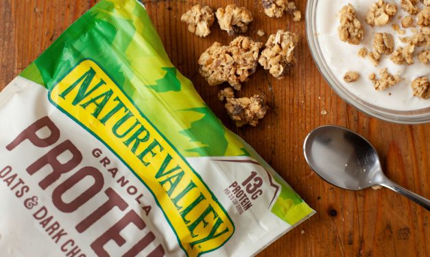 Nature Valley Granola As Low As $2.50 Per Bag At Publix