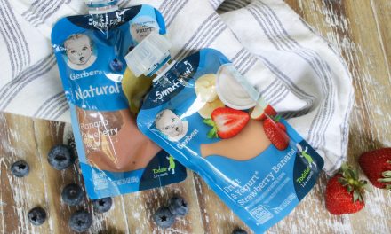 Gerber Baby Food Pouches As Low As 50¢ At Publix