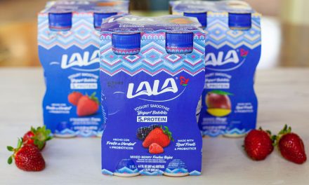 Give Your Day A Boost With Delicious LALA Yogurt Smoothies And Get Big Savings At Publix