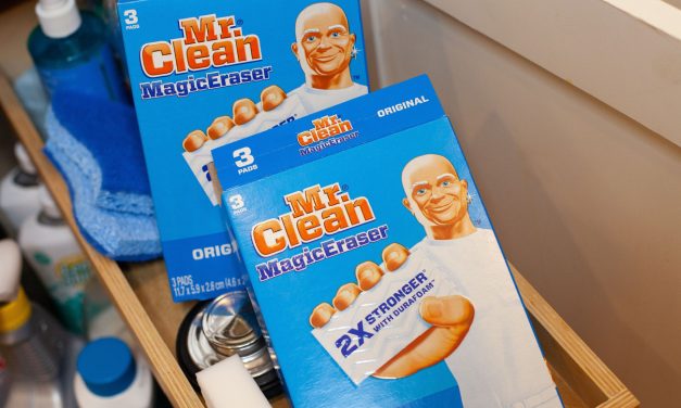 Mr. Clean Magic Eraser As Low As $3.99 At Publix