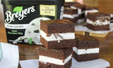 Non-Dairy Mint Chocolate Chip Ice Cream Brownie Sandwiches – Perfect Treat For The Breyers BOGO Sale!