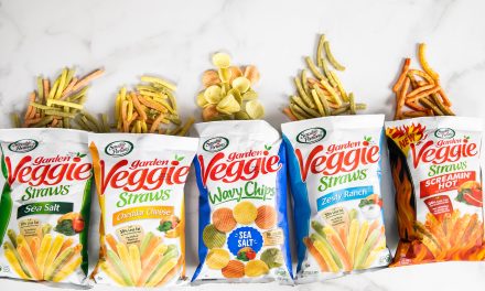 Time To Stock Up For Summer Break – Sensible Portions Veggie Straws And Chips Are On Sale Now At Publix