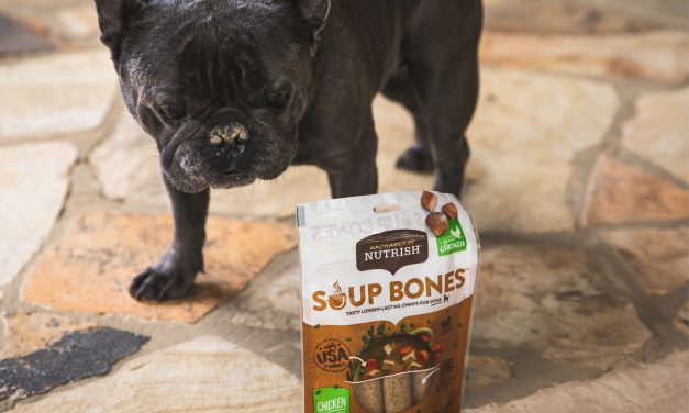 Rachael Ray Nutrish Soup Bone Treats Just 75¢ At Publix