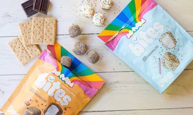 Look For New Jet-Puffed Marshmallow Bites At Publix – Available In Two Mouth Watering Varieties!