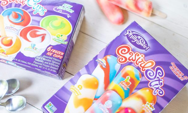 PhillySwirl Frozen Treats Only $3.25 At Publix (Regular Price $4.69)
