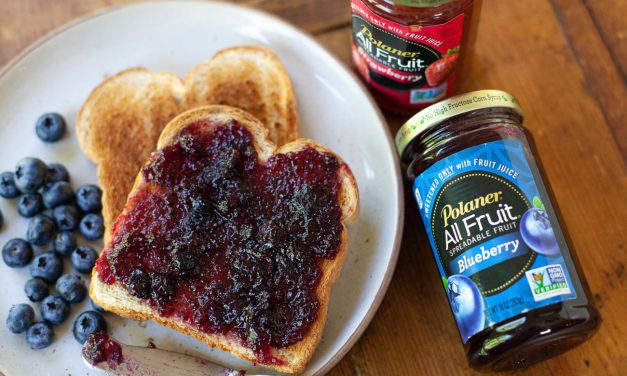 Polaner All Fruit Spread As Low As $1.48 At Publix