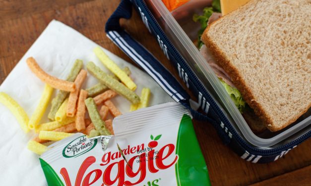 Don’t Miss Your Chance To Grab Deals On Terra Chips, Garden of Eatin’ Tortilla Chips and Sensible Portions Products At Publix