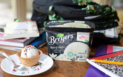 Celebrate Back To School With Tasty Treats From Breyers, Klondike & Viennetta Plus Earn Gift Cards With Your Purchase!