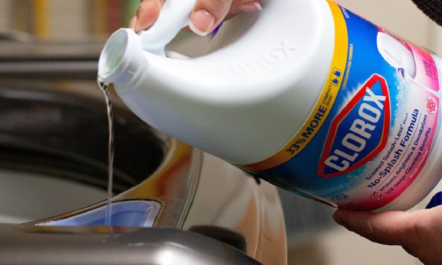 Clorox Bleach Just $1.75 At Publix