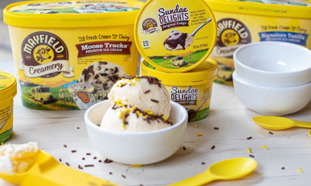 Pick Up Delicious Mayfield Ice Cream At Publix And Grab What’s Good – Celebrate National Ice Cream Day With Amazing Flavor!