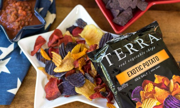 Terra Chips Are The Ultimate Snack For Your 4th of July Festivities – Save NOW At Publix