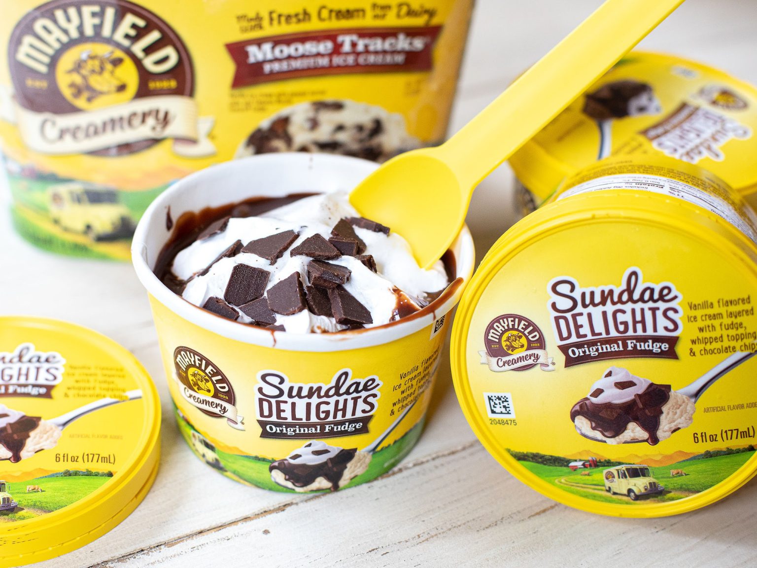 Pick Up Delicious Mayfield Ice Cream At Publix And Grab What’s Good